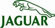 JAGUAR  Logo und Schriftzug